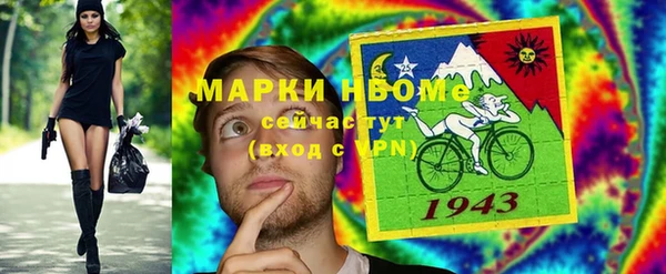 соль ск Дмитриев