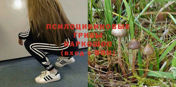 а пвп мука Дмитров