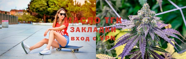 соль ск Дмитриев