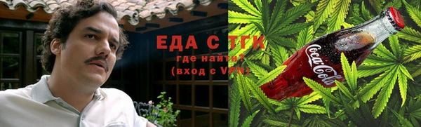 метамфетамин Ельня